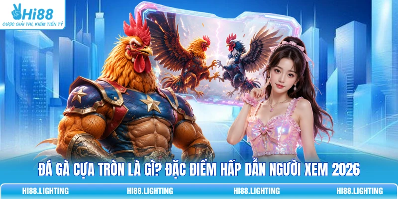 Đá Gà Cựa Tròn Là Gì? Đặc Điểm Hấp Dẫn Người Xem