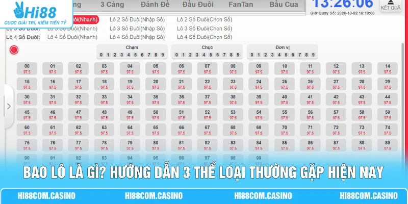 Bao Lô Là Gì? Hướng Dẫn 3 Thể Loại Thường Gặp Hiện Nay