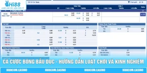 Cá Cược Bóng Bầu Dục - Hướng Dẫn Luật Chơi Và Kinh Nghiệm