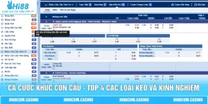 Cá Cược Khúc Côn Cầu - Top 4 Các Loại Kèo Và Kinh Nghiệm