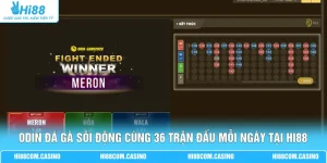 ODIN Đá Gà Sôi Động Cùng 36 Trận Đấu Mỗi Ngày Tại Hi88